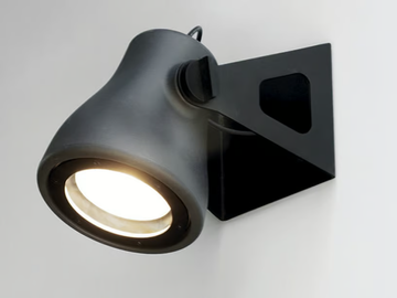 frog-martinelli-luce-469982-rel33815ead.jpg